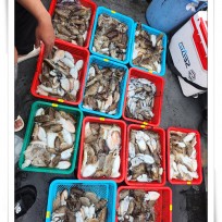 9월 28일 레드피싱호 갑오징어 조황