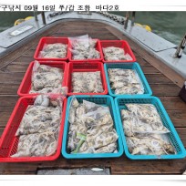 9월 16일 바다2호 쭈꾸미/갑오징어…