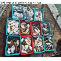 10월 8일 바다2호 갑오징어 조황