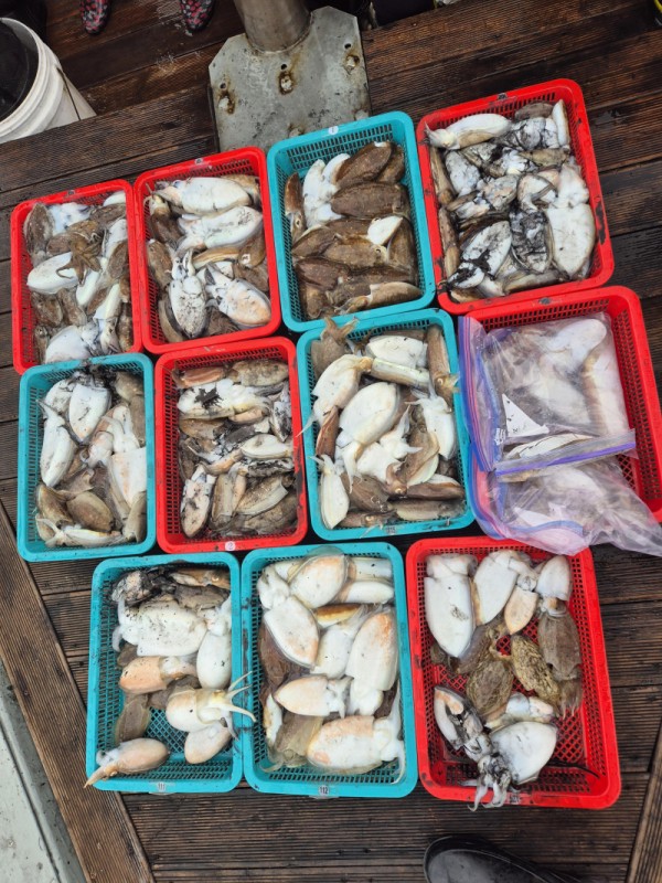 67a6e7c48b3fb37cc9c80cf19d66af15_1761588