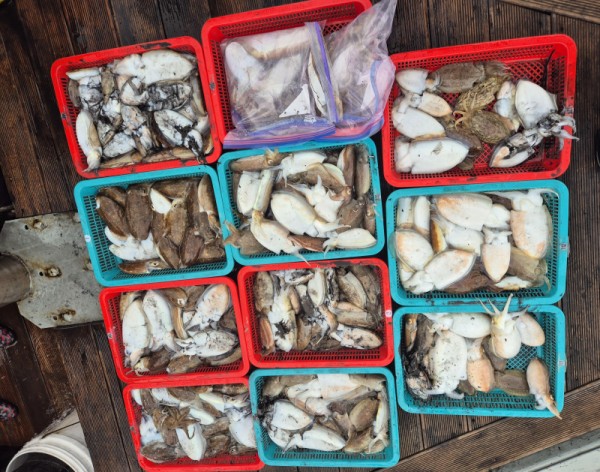 67a6e7c48b3fb37cc9c80cf19d66af15_1761588