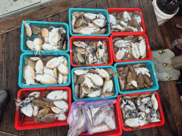 67a6e7c48b3fb37cc9c80cf19d66af15_1761588