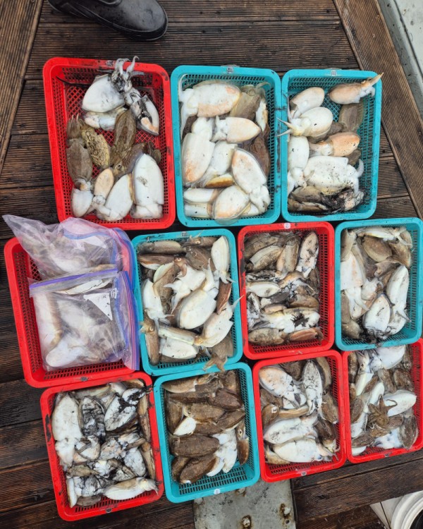 67a6e7c48b3fb37cc9c80cf19d66af15_1761588