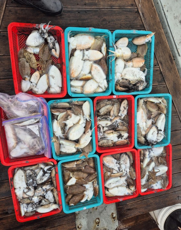 67a6e7c48b3fb37cc9c80cf19d66af15_1761588