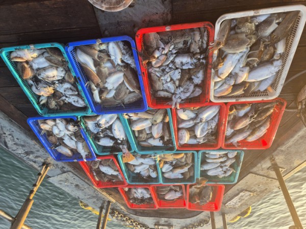 67a6e7c48b3fb37cc9c80cf19d66af15_1761677