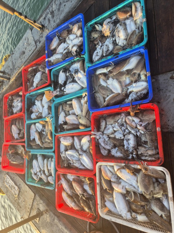 67a6e7c48b3fb37cc9c80cf19d66af15_1761677