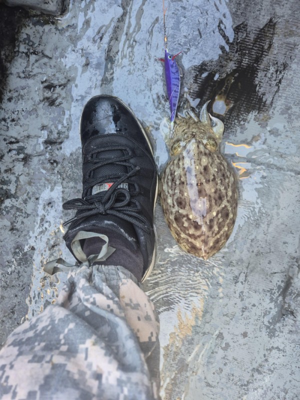 67a6e7c48b3fb37cc9c80cf19d66af15_1761677