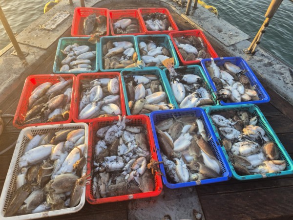 67a6e7c48b3fb37cc9c80cf19d66af15_1761677