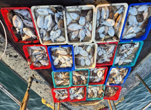 67a6e7c48b3fb37cc9c80cf19d66af15_1761758