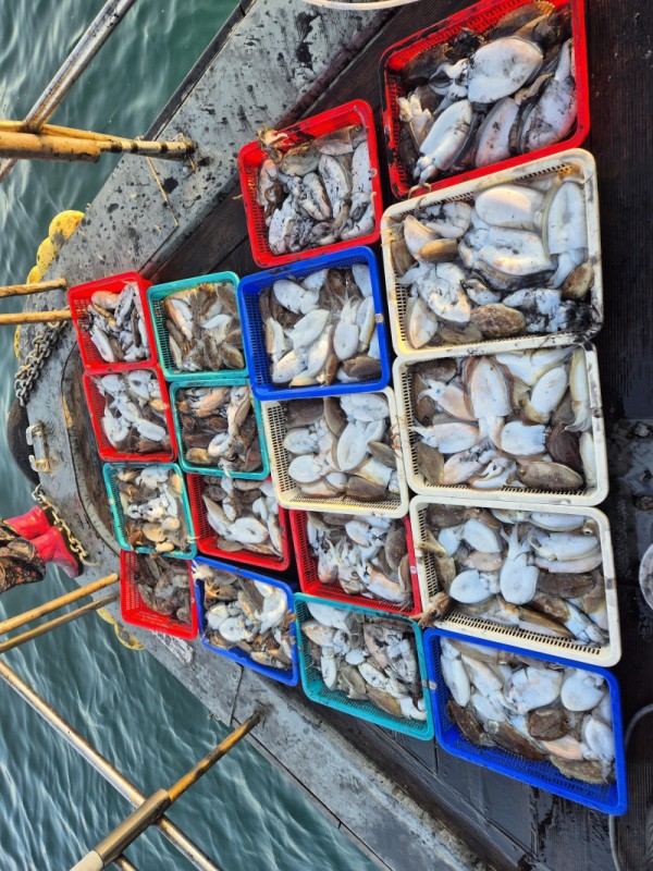 67a6e7c48b3fb37cc9c80cf19d66af15_1761758