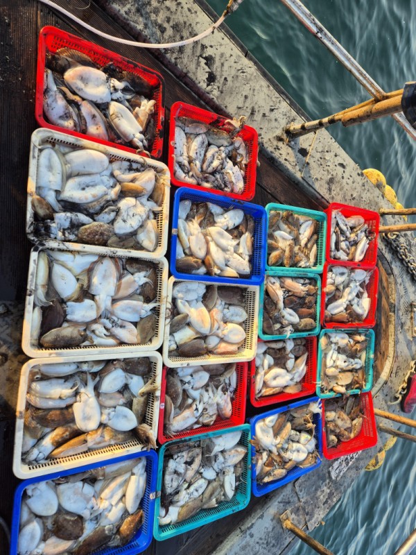 67a6e7c48b3fb37cc9c80cf19d66af15_1761758