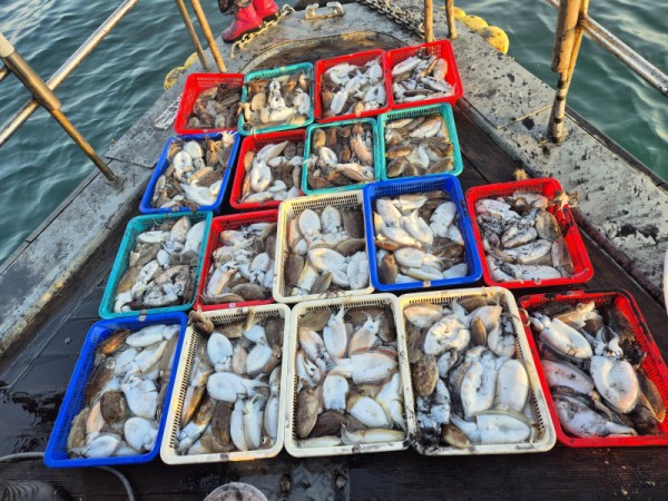 67a6e7c48b3fb37cc9c80cf19d66af15_1761758