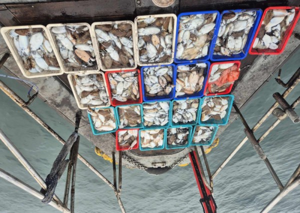 67a6e7c48b3fb37cc9c80cf19d66af15_1761846