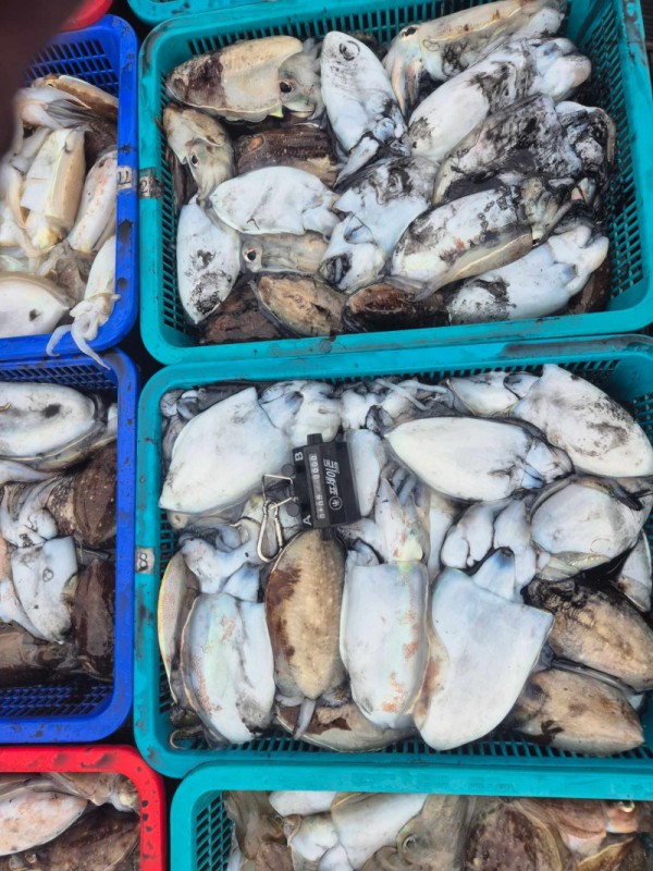 67a6e7c48b3fb37cc9c80cf19d66af15_1761846