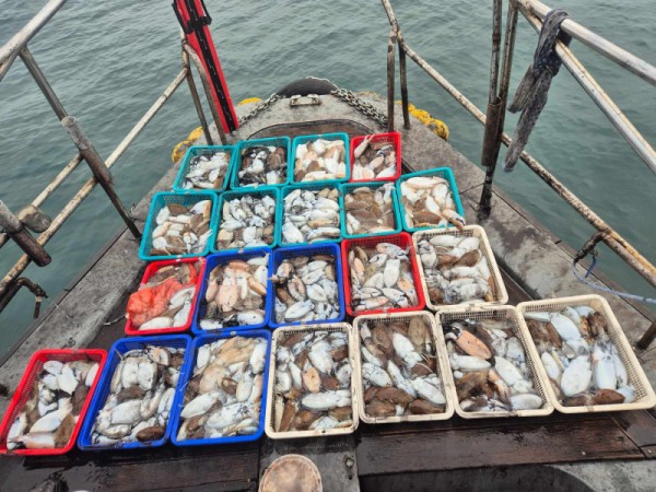 67a6e7c48b3fb37cc9c80cf19d66af15_1761846