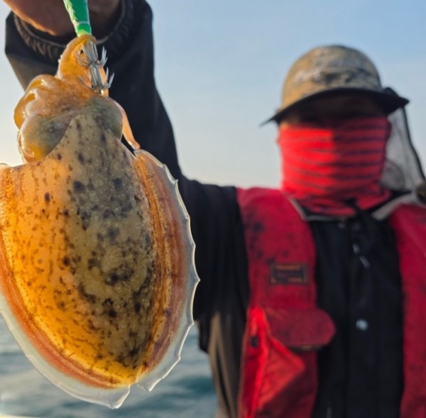 67a6e7c48b3fb37cc9c80cf19d66af15_1761975