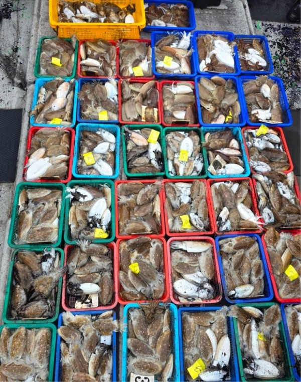 67a6e7c48b3fb37cc9c80cf19d66af15_1761975