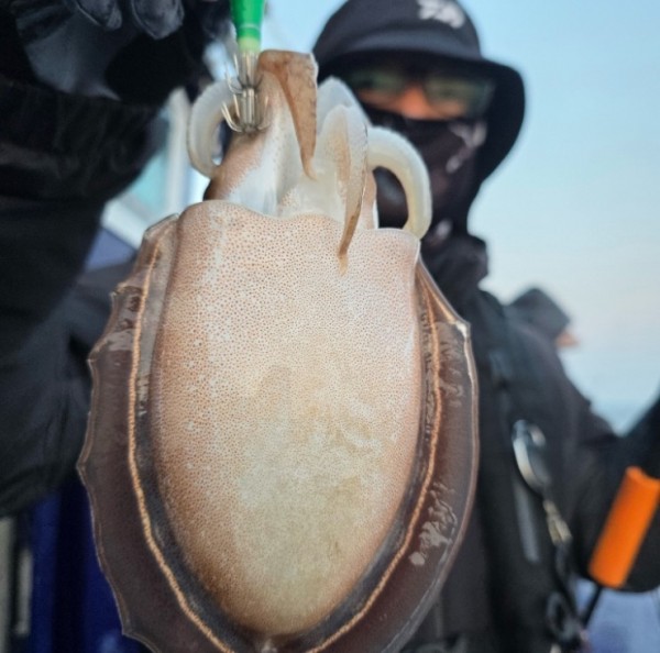 67a6e7c48b3fb37cc9c80cf19d66af15_1761975