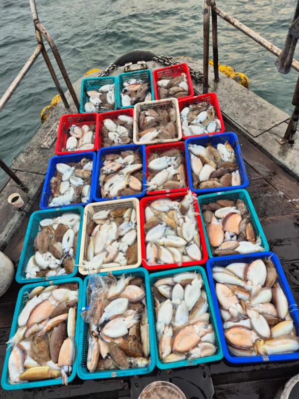 67a6e7c48b3fb37cc9c80cf19d66af15_1761975