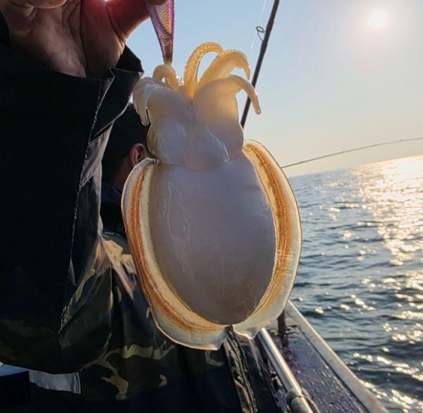 67a6e7c48b3fb37cc9c80cf19d66af15_1761975