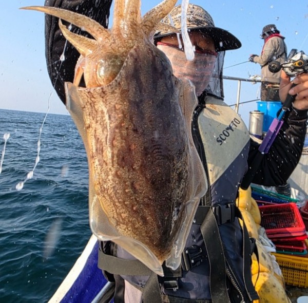 67a6e7c48b3fb37cc9c80cf19d66af15_1761975