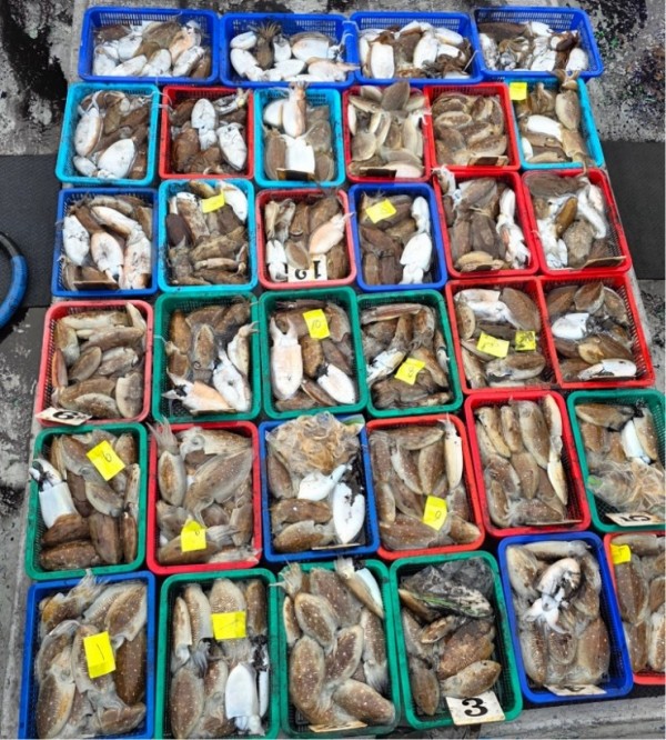 67a6e7c48b3fb37cc9c80cf19d66af15_1761975