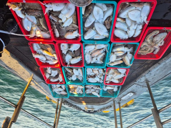 8a04af9542fdd826a282414bd905c883_1763006