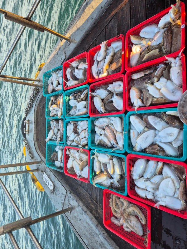 8a04af9542fdd826a282414bd905c883_1763006