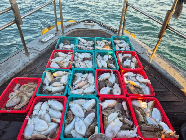 8a04af9542fdd826a282414bd905c883_1763006