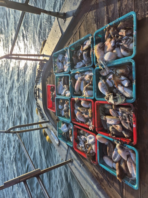 8a04af9542fdd826a282414bd905c883_1763265