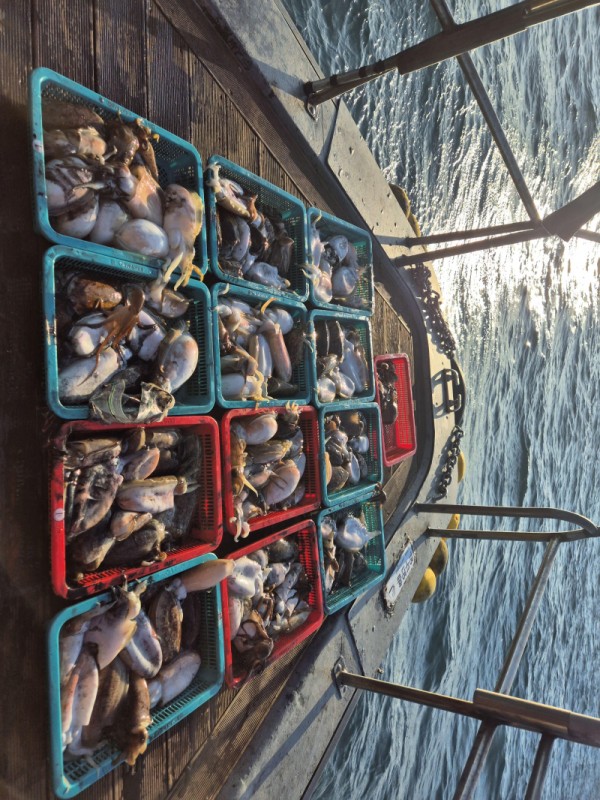 8a04af9542fdd826a282414bd905c883_1763265