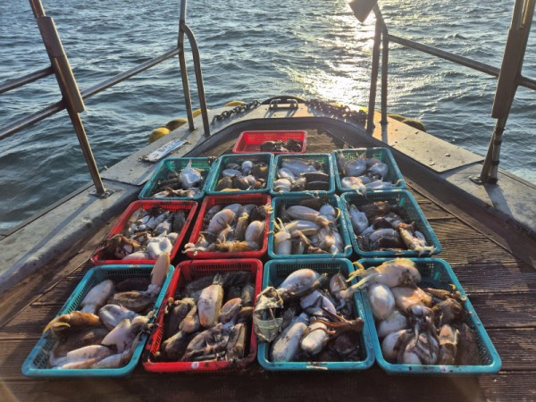 8a04af9542fdd826a282414bd905c883_1763265