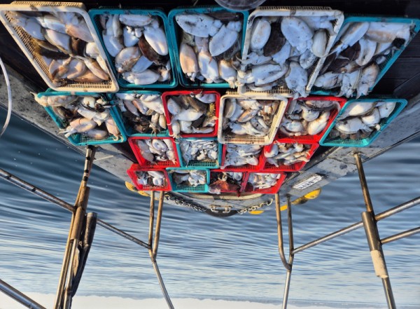 8a04af9542fdd826a282414bd905c883_1763265