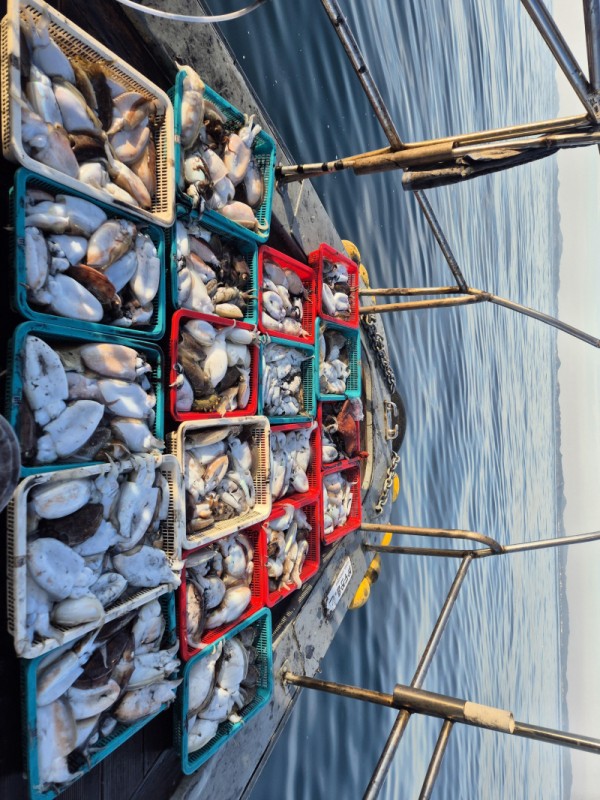 8a04af9542fdd826a282414bd905c883_1763265