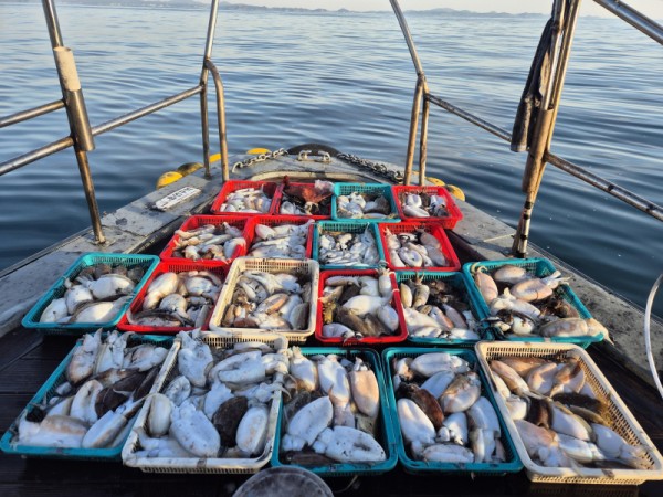 8a04af9542fdd826a282414bd905c883_1763265