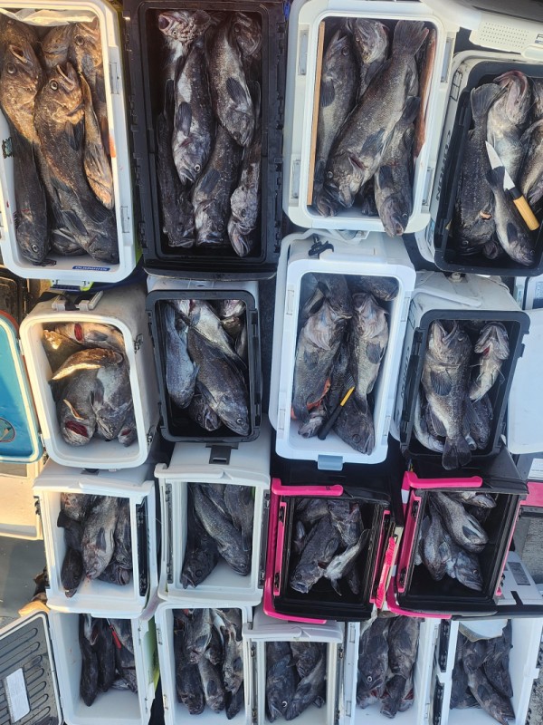 8a04af9542fdd826a282414bd905c883_1763265