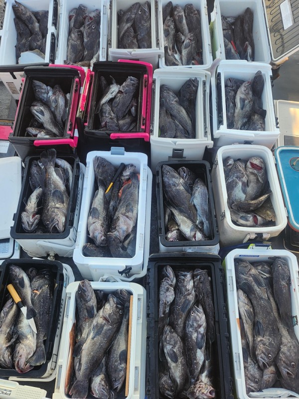 8a04af9542fdd826a282414bd905c883_1763265