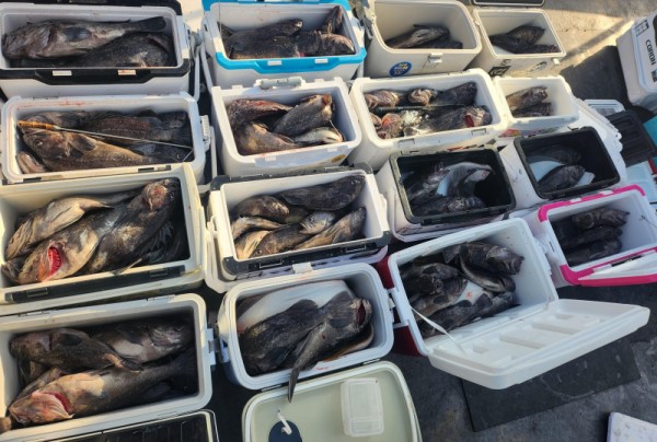 8a04af9542fdd826a282414bd905c883_1763265