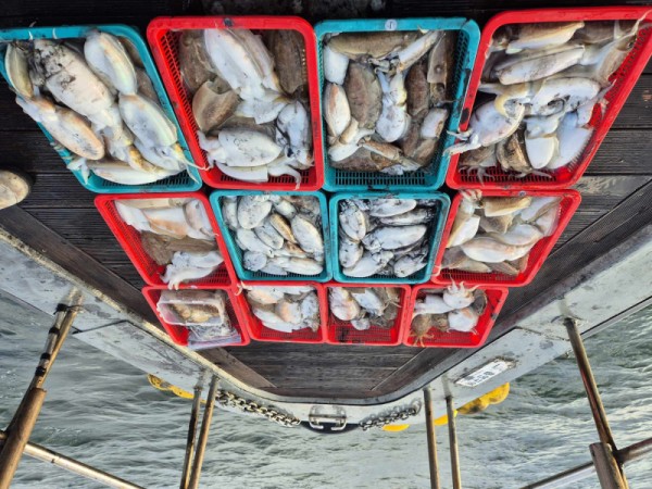 8a04af9542fdd826a282414bd905c883_1763490