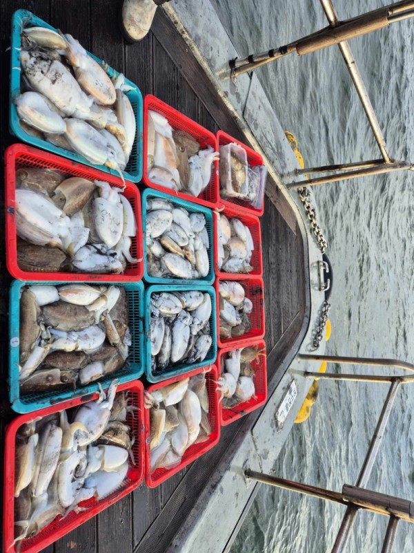 8a04af9542fdd826a282414bd905c883_1763490