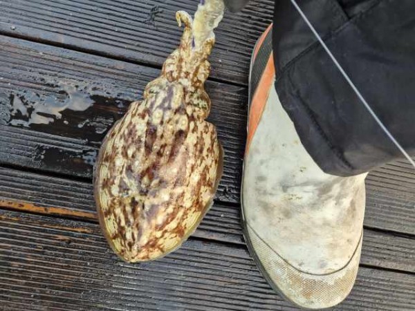 8a04af9542fdd826a282414bd905c883_1763490