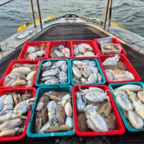 11월 16일 바다2호 갑오징어 조황