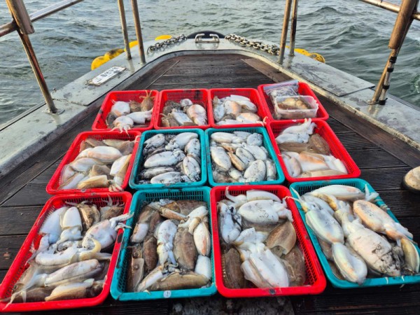 8a04af9542fdd826a282414bd905c883_1763490