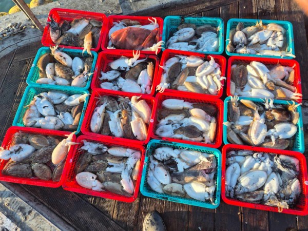 f98a5ea8096fb6c37cf3dd50834d88bd_1762222