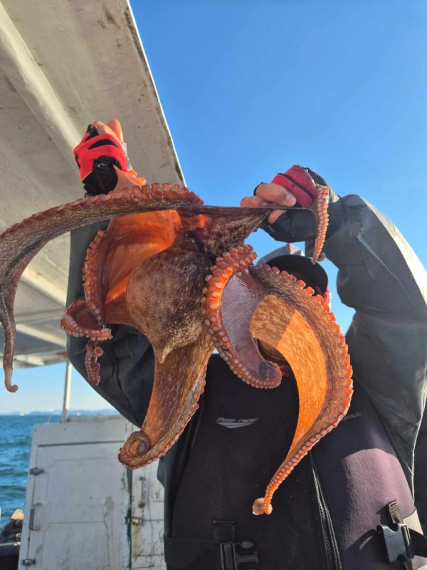 f98a5ea8096fb6c37cf3dd50834d88bd_1762222