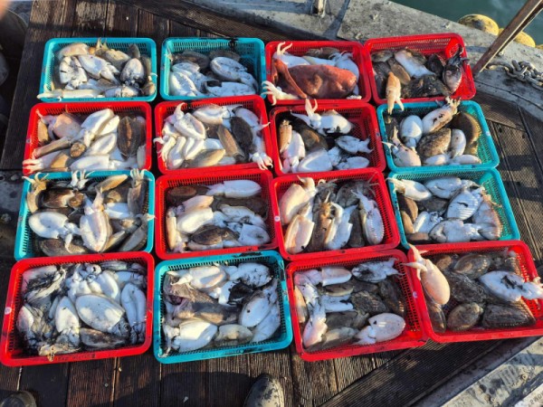 f98a5ea8096fb6c37cf3dd50834d88bd_1762222