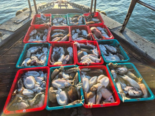 f98a5ea8096fb6c37cf3dd50834d88bd_1762222