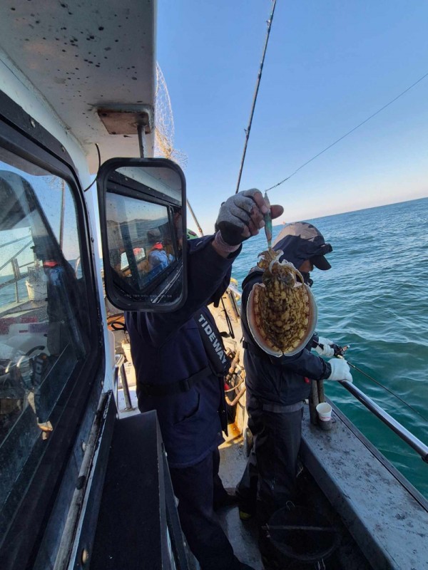 f98a5ea8096fb6c37cf3dd50834d88bd_1762222