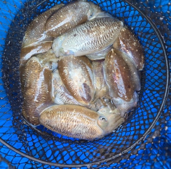 f98a5ea8096fb6c37cf3dd50834d88bd_1762222