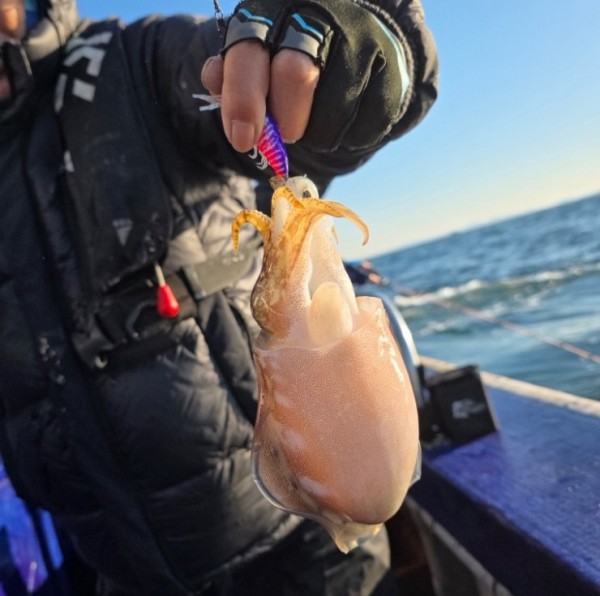 f98a5ea8096fb6c37cf3dd50834d88bd_1762222